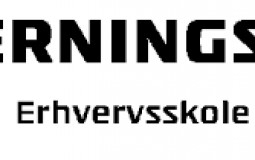 Lærer i Herningsholm HTX